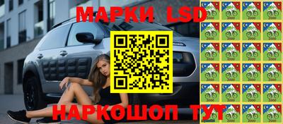 хмурый Будённовск