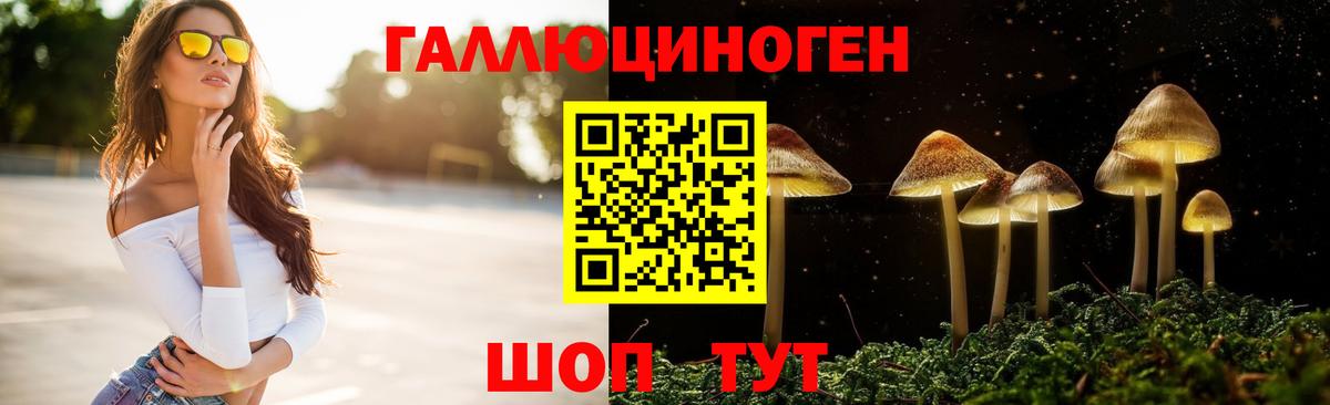 Псилоцибиновые грибы прущие грибы Ногинск